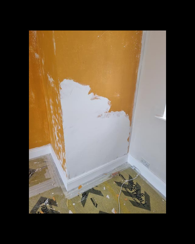 in progress decorating lewes