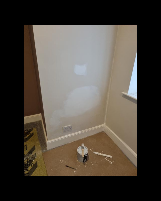 lewes decorating services